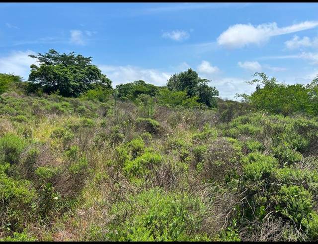 LAND FOR SALE IN ZINI RIVER ESTATE